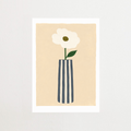 anemone